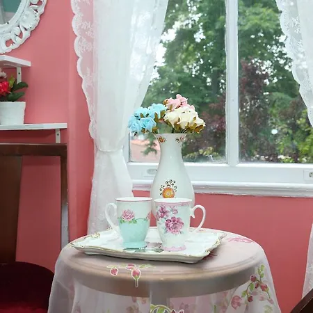 Jumba ホステル イスタンブール